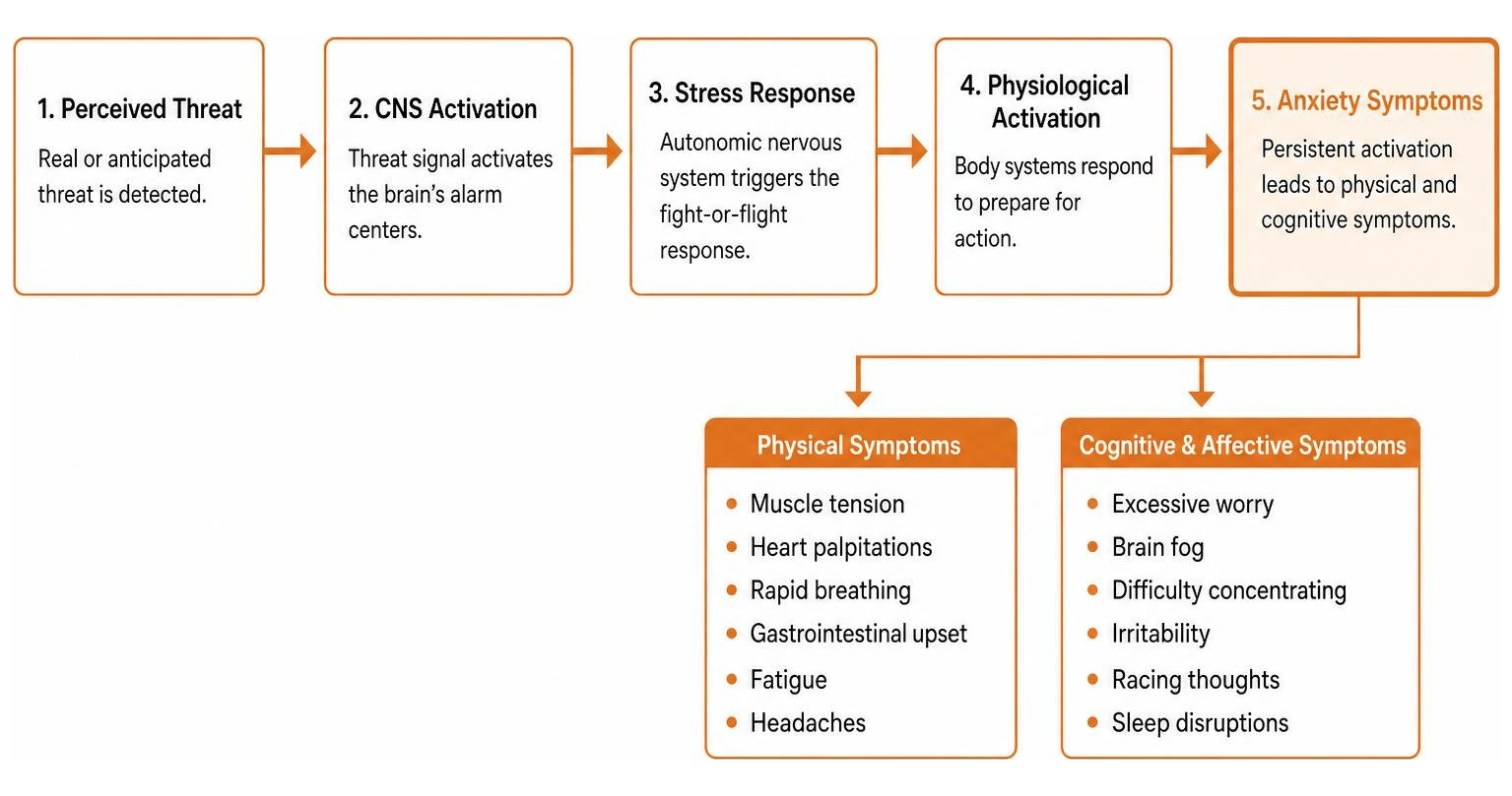 anxiety disorders